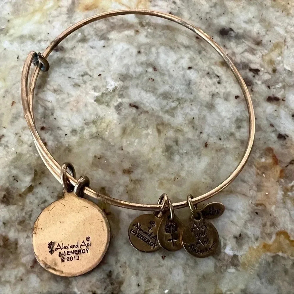 RETIRED: Alex and Ani | Class of 2013 charm bracelet - Picture 2 of 14